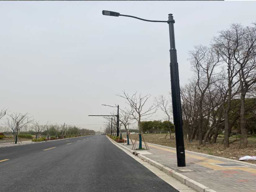 漳平市上海综合杆 太阳能路灯工程